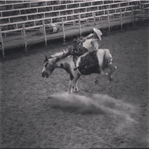 Meet your Posher, Zack